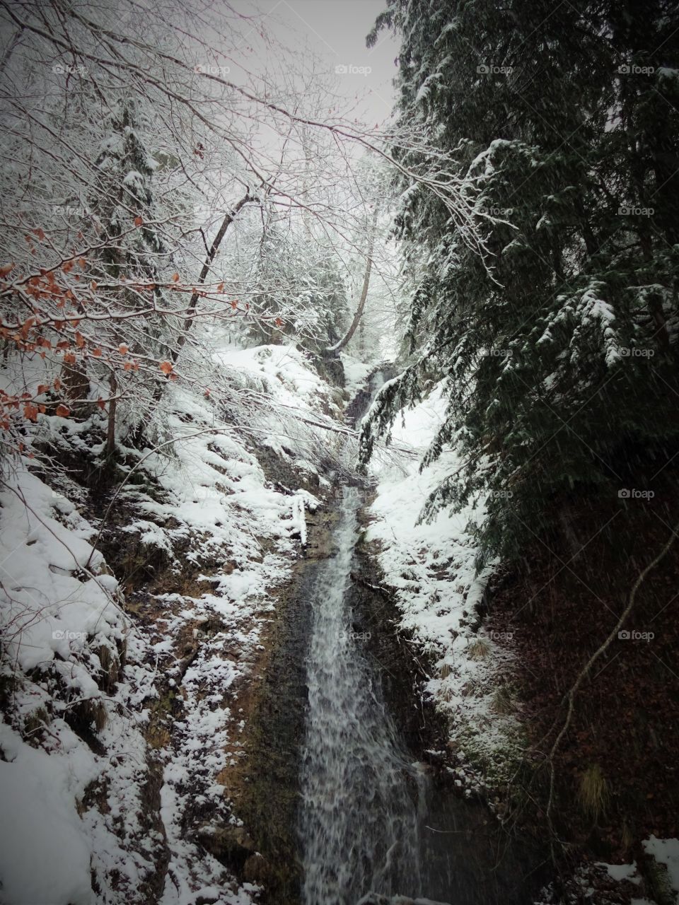 Waterfall in the Neuschwanstein Castle