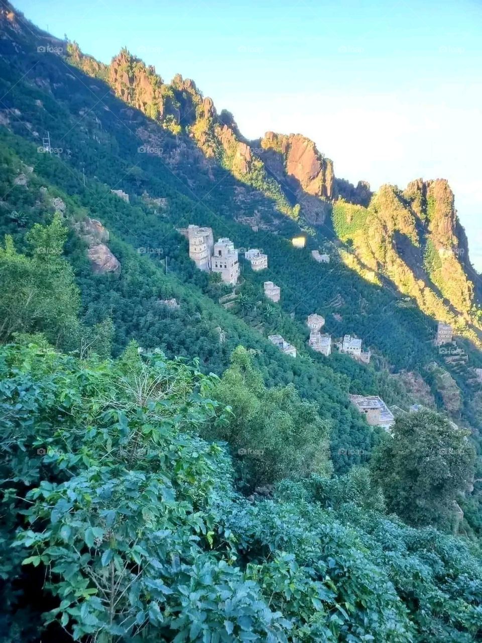 A very beautiful picture, and there is no better picture than it. There is no better picture of green herbs and colorful, red and white roses than it. Glory be to God, the natural and picturesque view, and there is no more