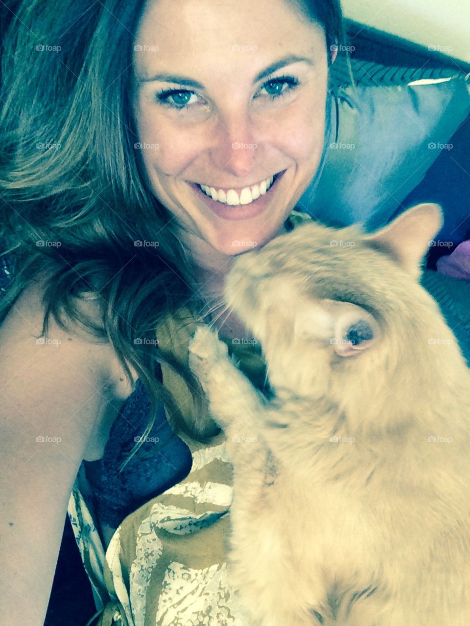 Cat selfie . Pet