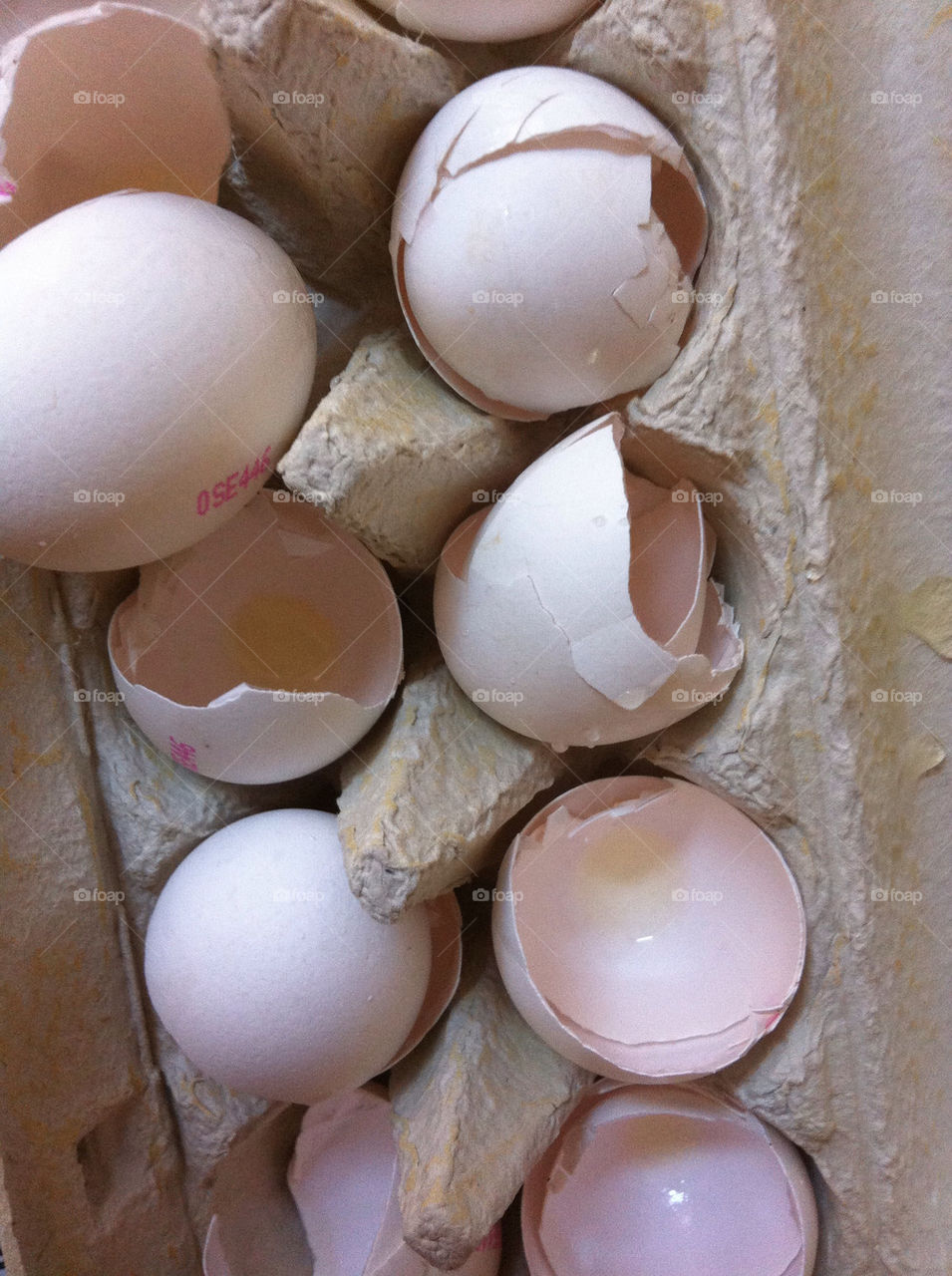 malmö sweden broken eggs by mooseberry