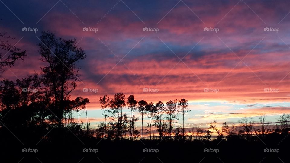 Florida Sunset
