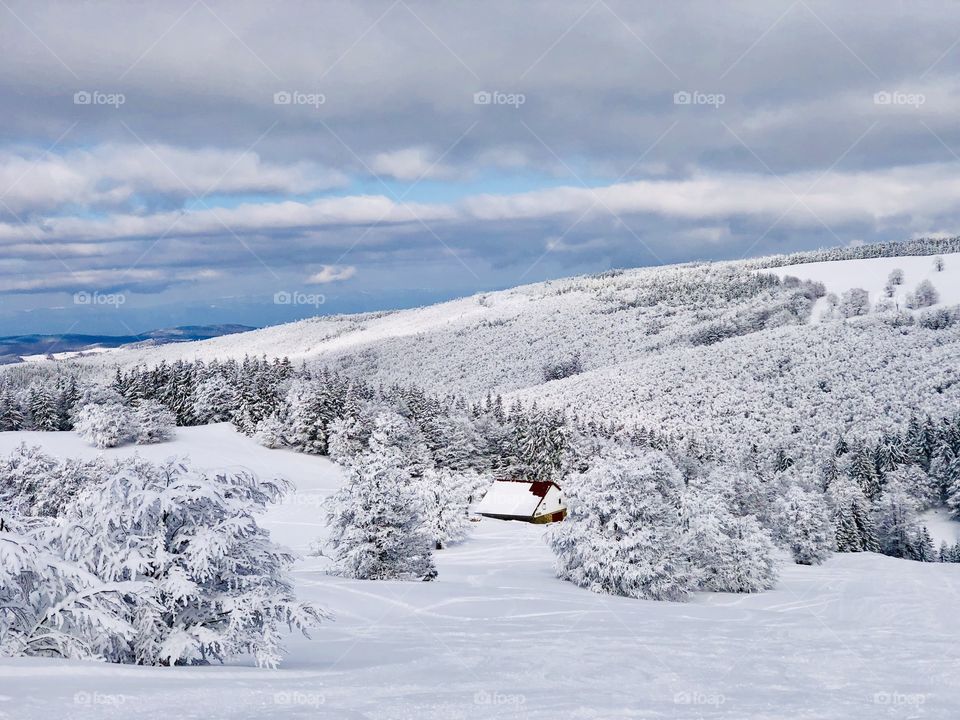 Isolated house