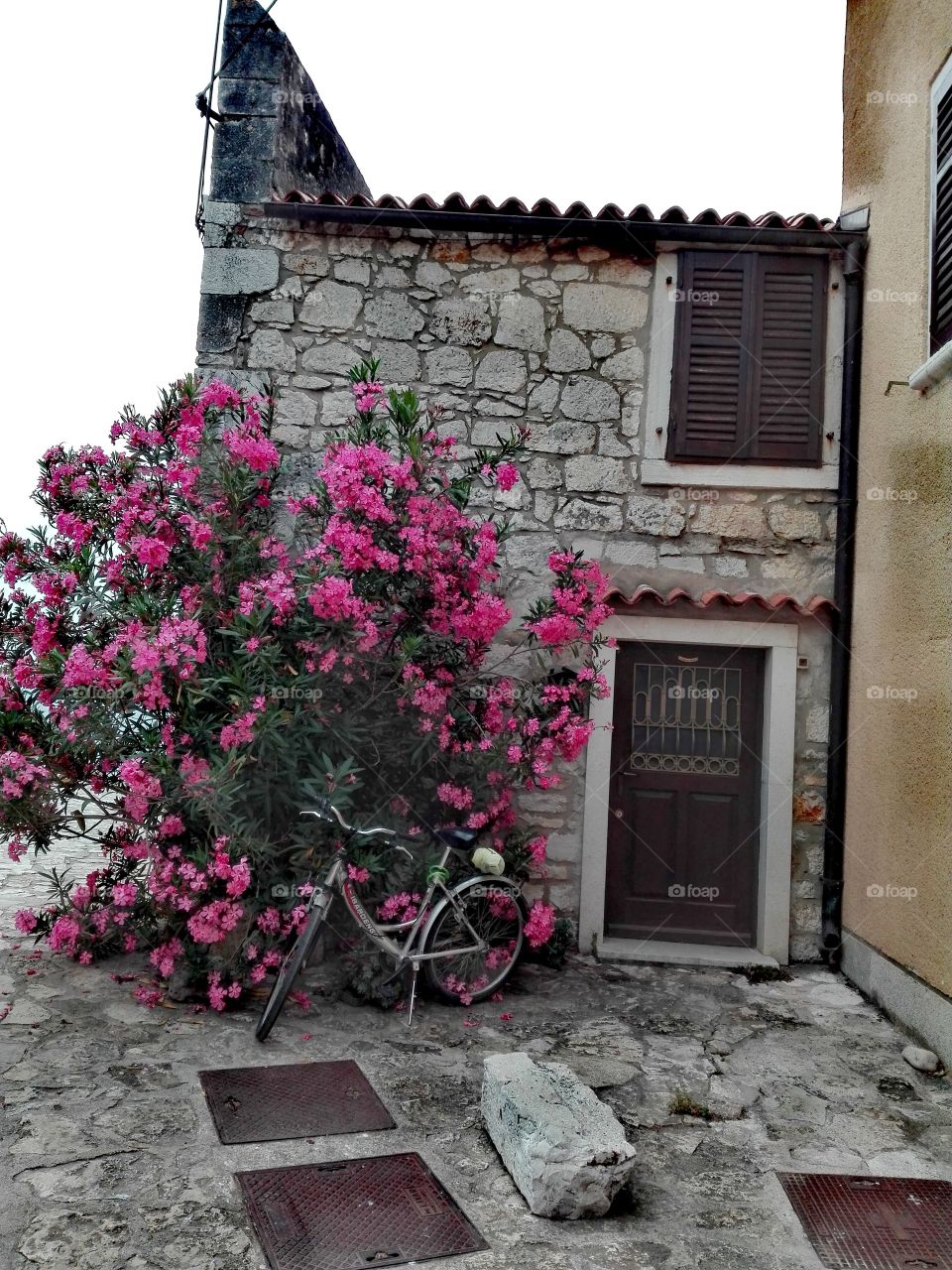 somewhere in the mountains