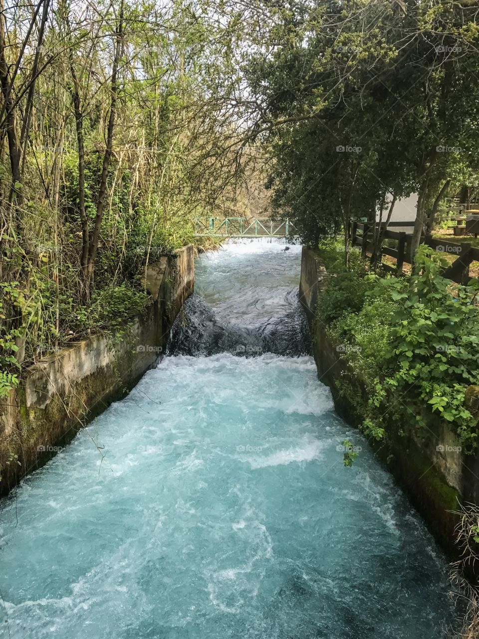 Travel - River of Dan in Israel 