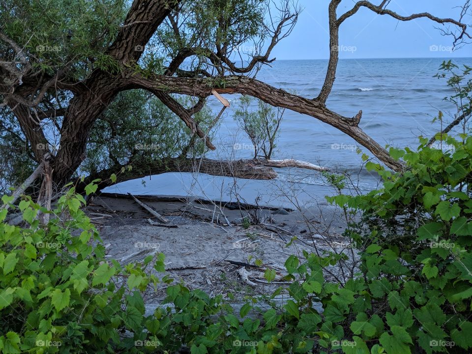 Hidden views through magical openings