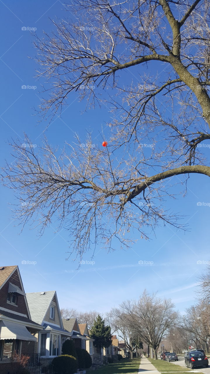 red ballon