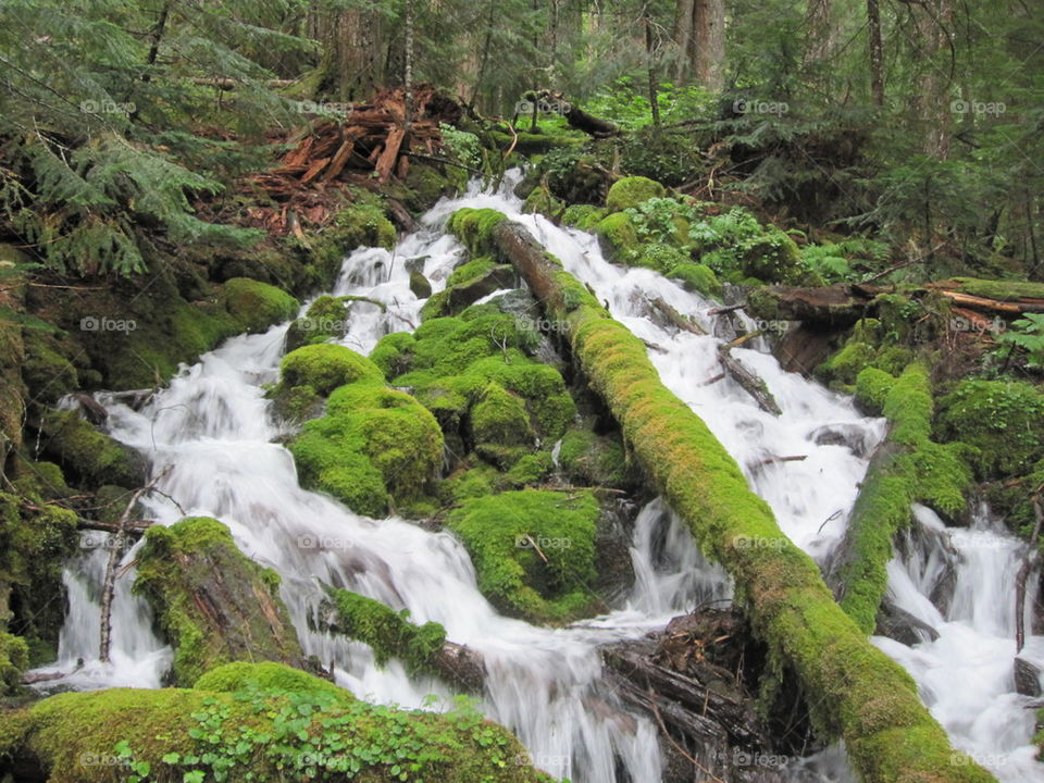 View of stream flowing through rocks