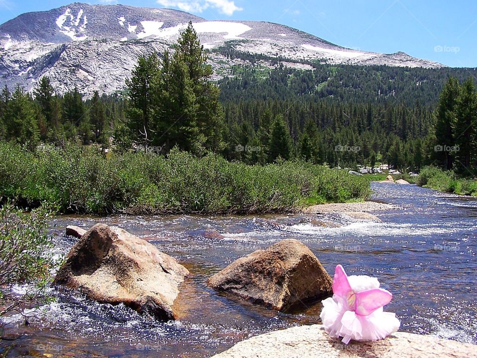 Angel overlooking Yosemite Vista