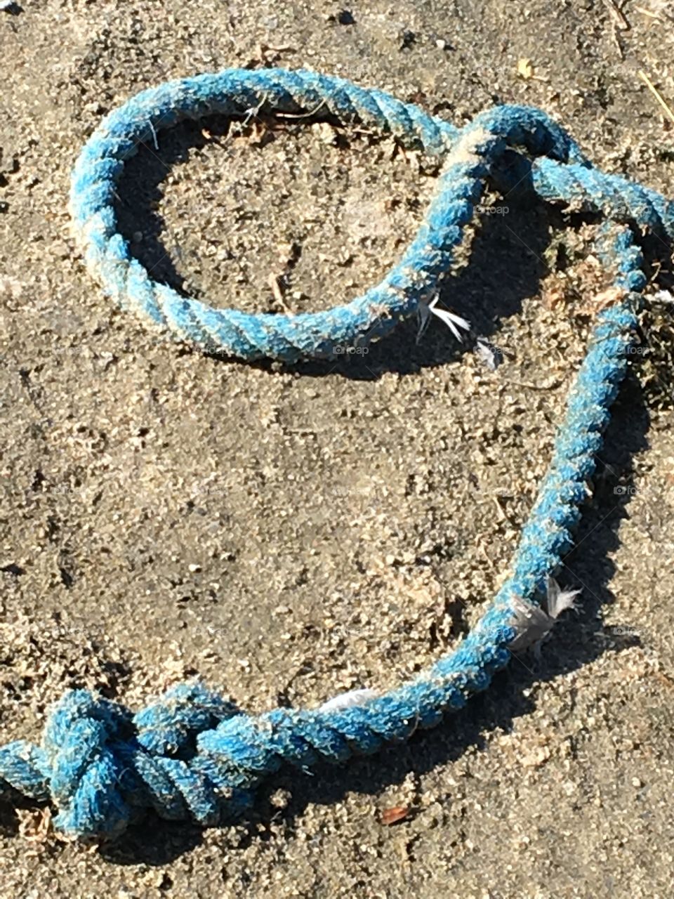 Blue rope at the beach 