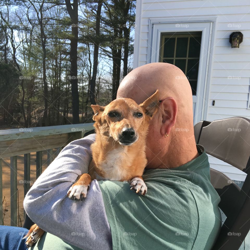 Terrier held by owner on shoulder, rocked in chair on back porch. Late afternoon summer sun.