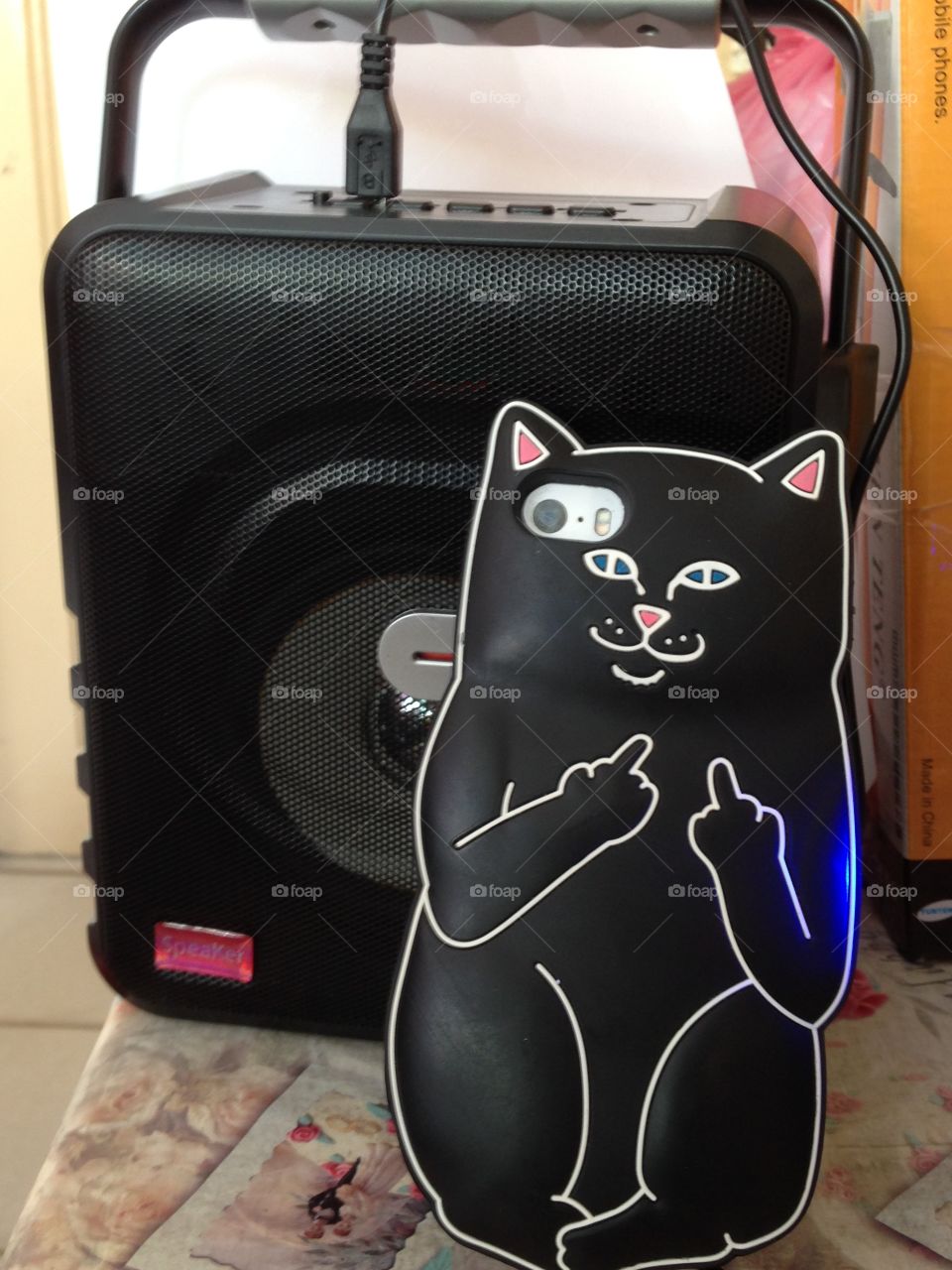 casing cat funny and speaker