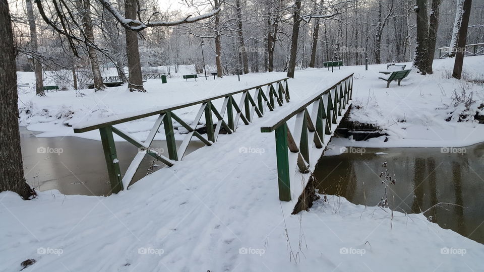 bridge in winter view