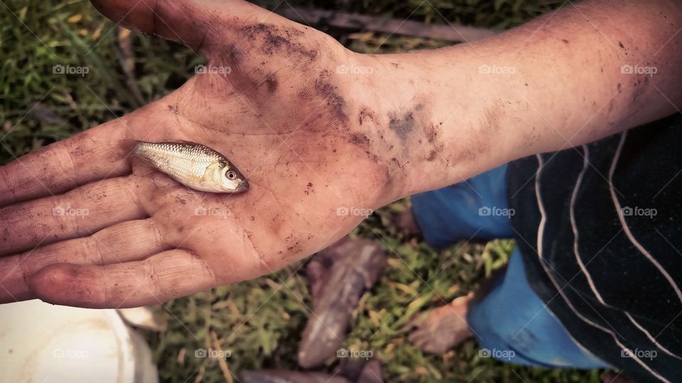 natureza peixe mão