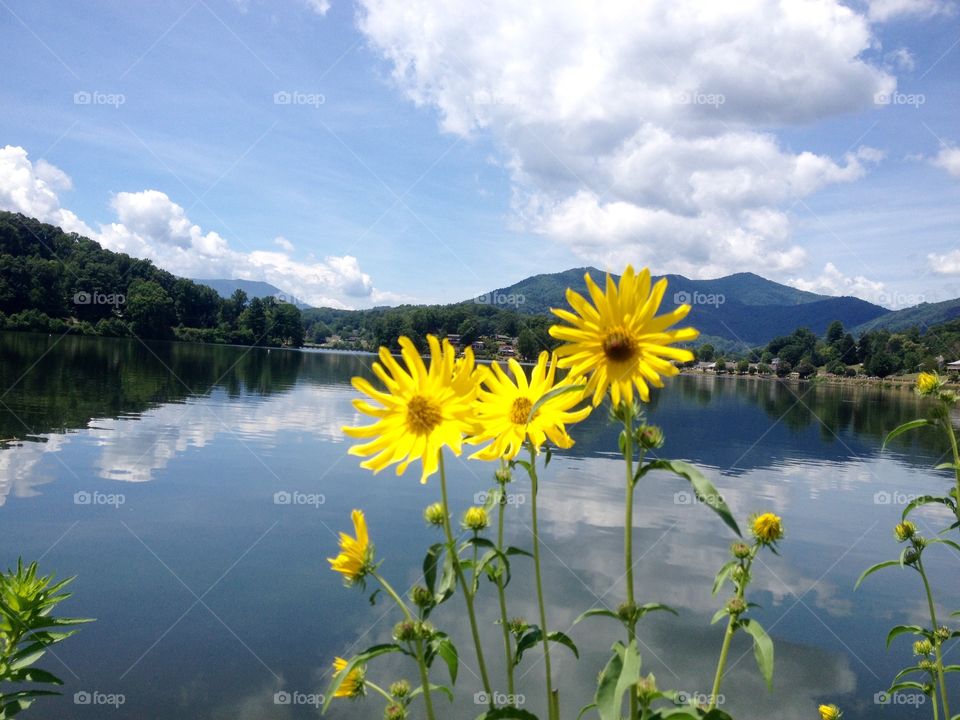 Lake Junaluska