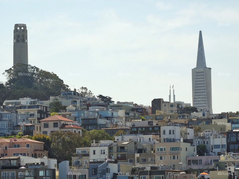 San Francisco Skyline. Skyline Of San Francisco With Iconic Transamerica Pyramid
