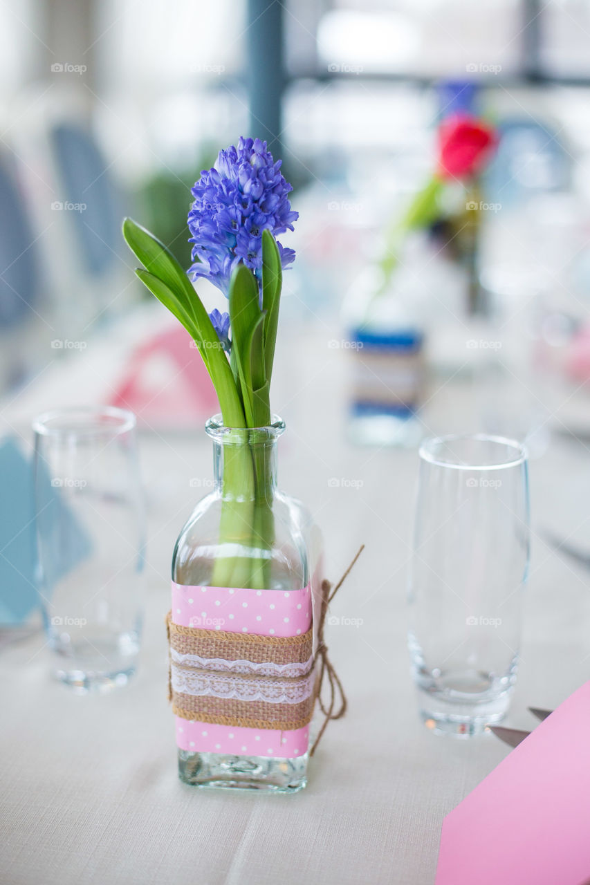 Blue Hyacinth in vase