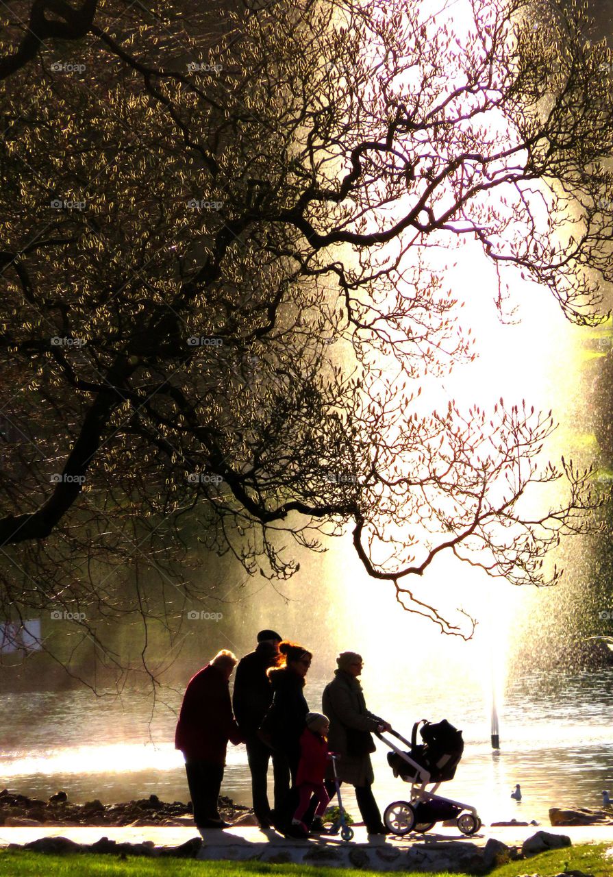 family in magical landscape