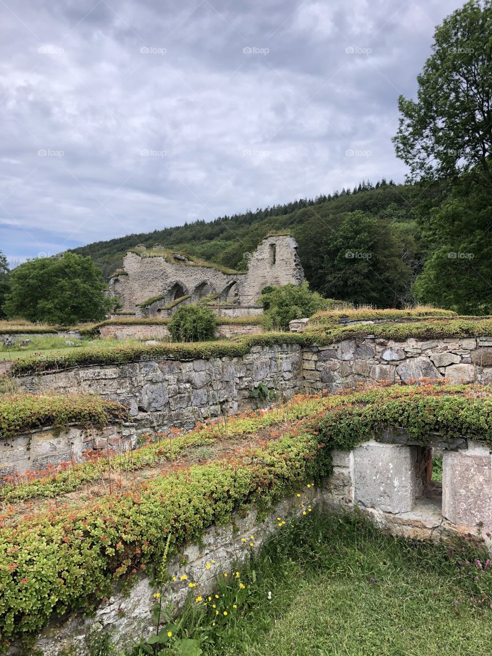 Alvastra monastery ruin