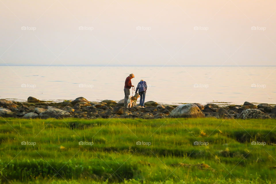 Summer beach vacation with my family and dog 