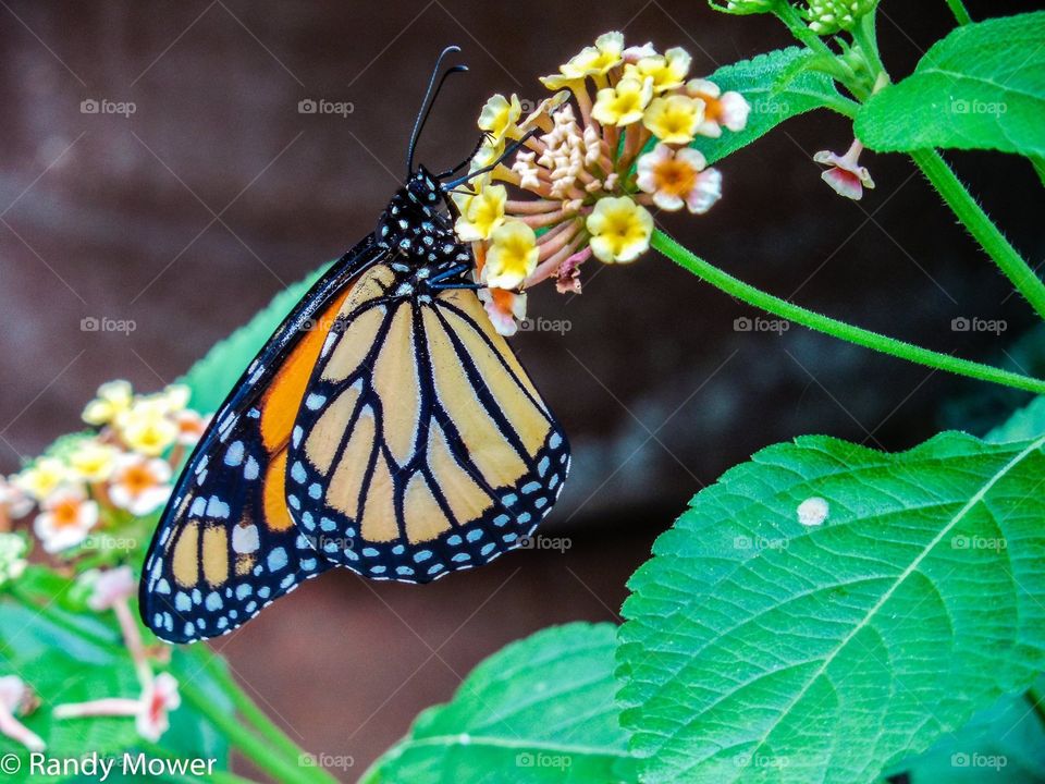 Rodger Williams Park Zoo
Providence RI