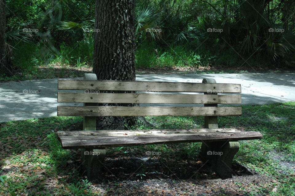 A park bench with a tree and pathway behind it
