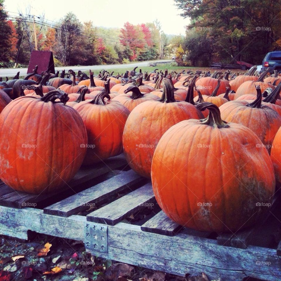 Pumpkins