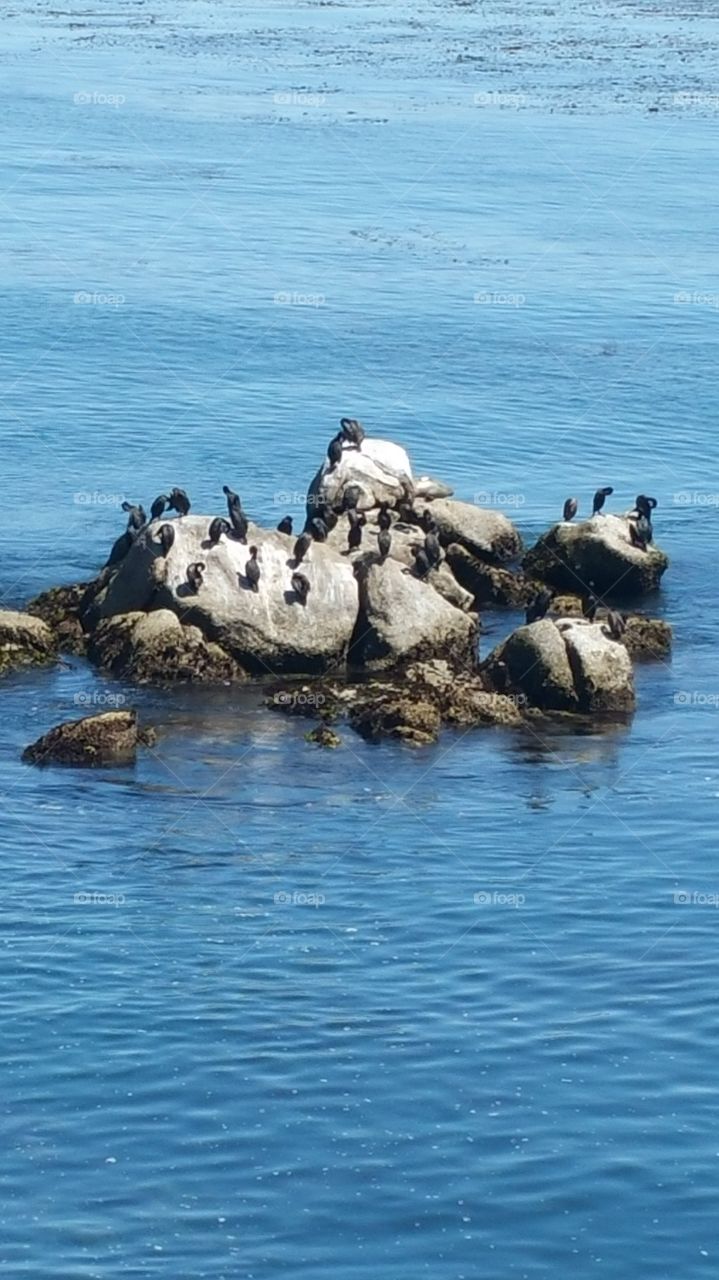 Bayview. Monterey California visit.