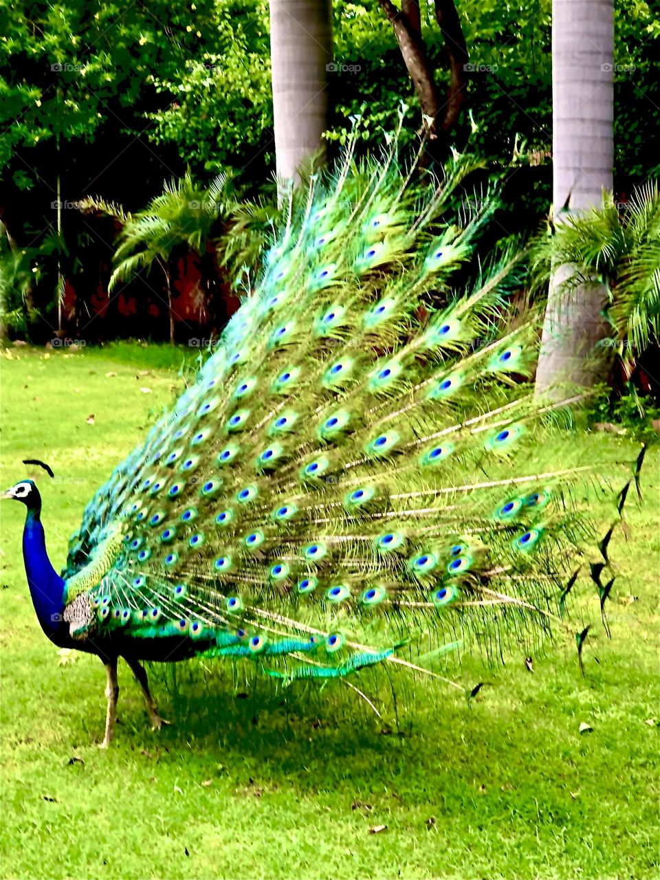 Photo of the month July