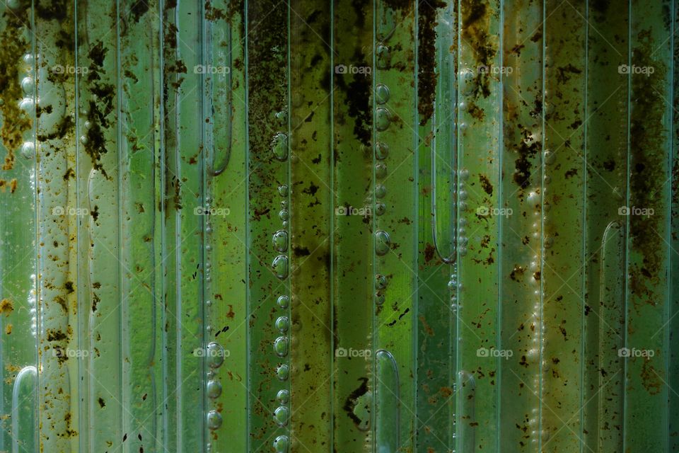 Water tube algae micro-verse 