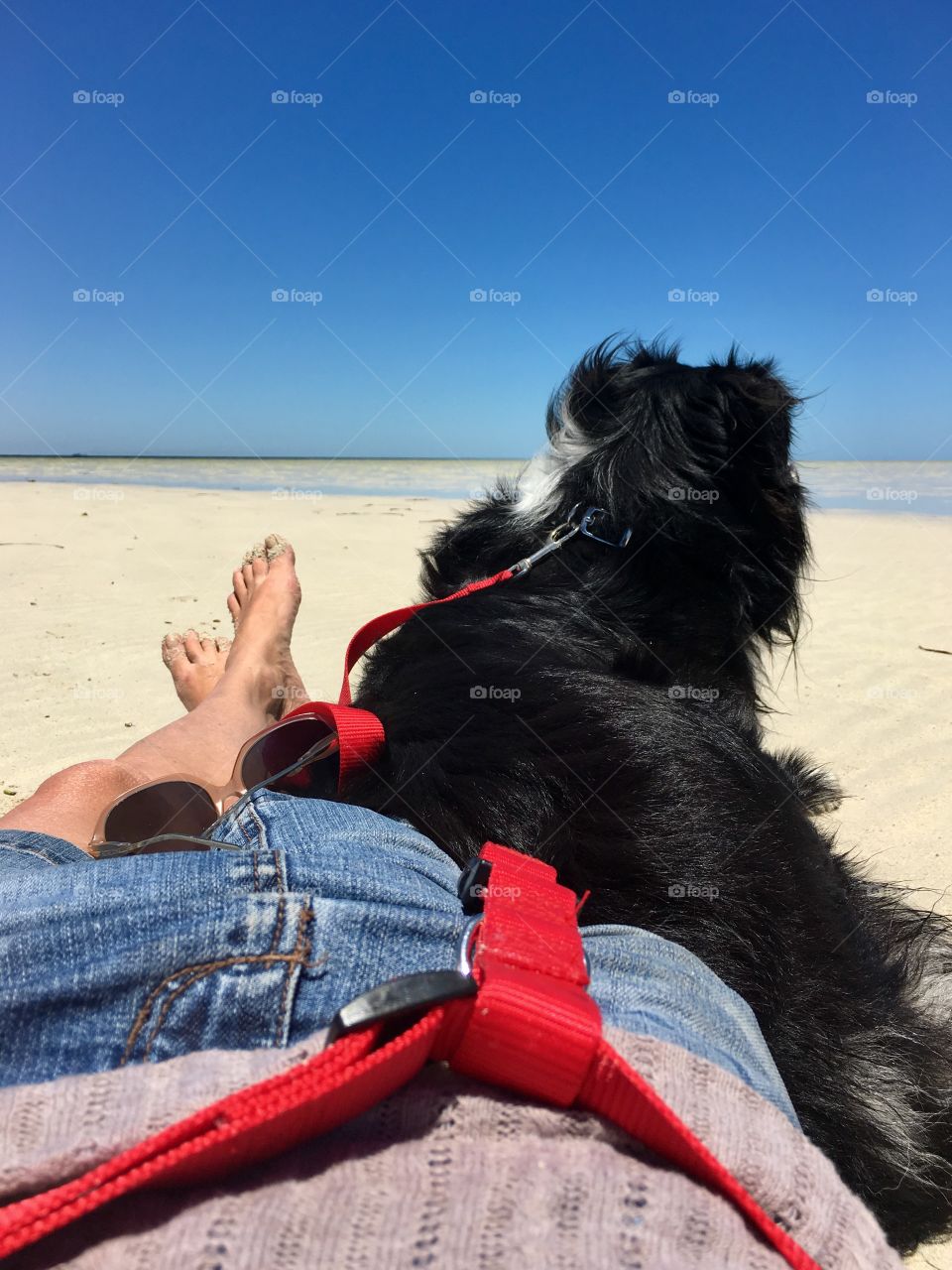 Woman in jean skirt lying on sandy beach barefoot, wig. Order collie sheep dog staring out into the horizon 