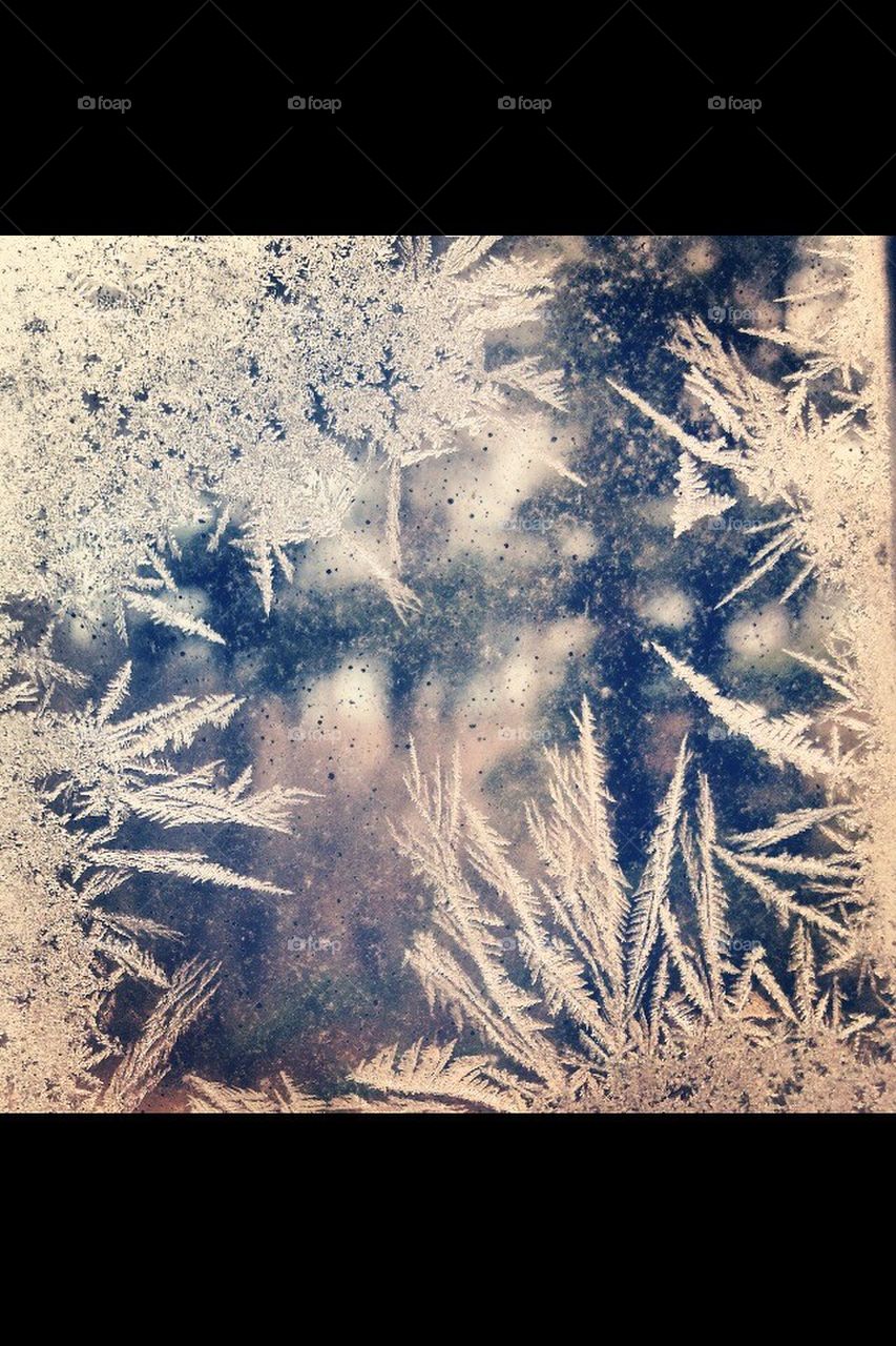 winter window berkshires crystals by hannahtrimarchi