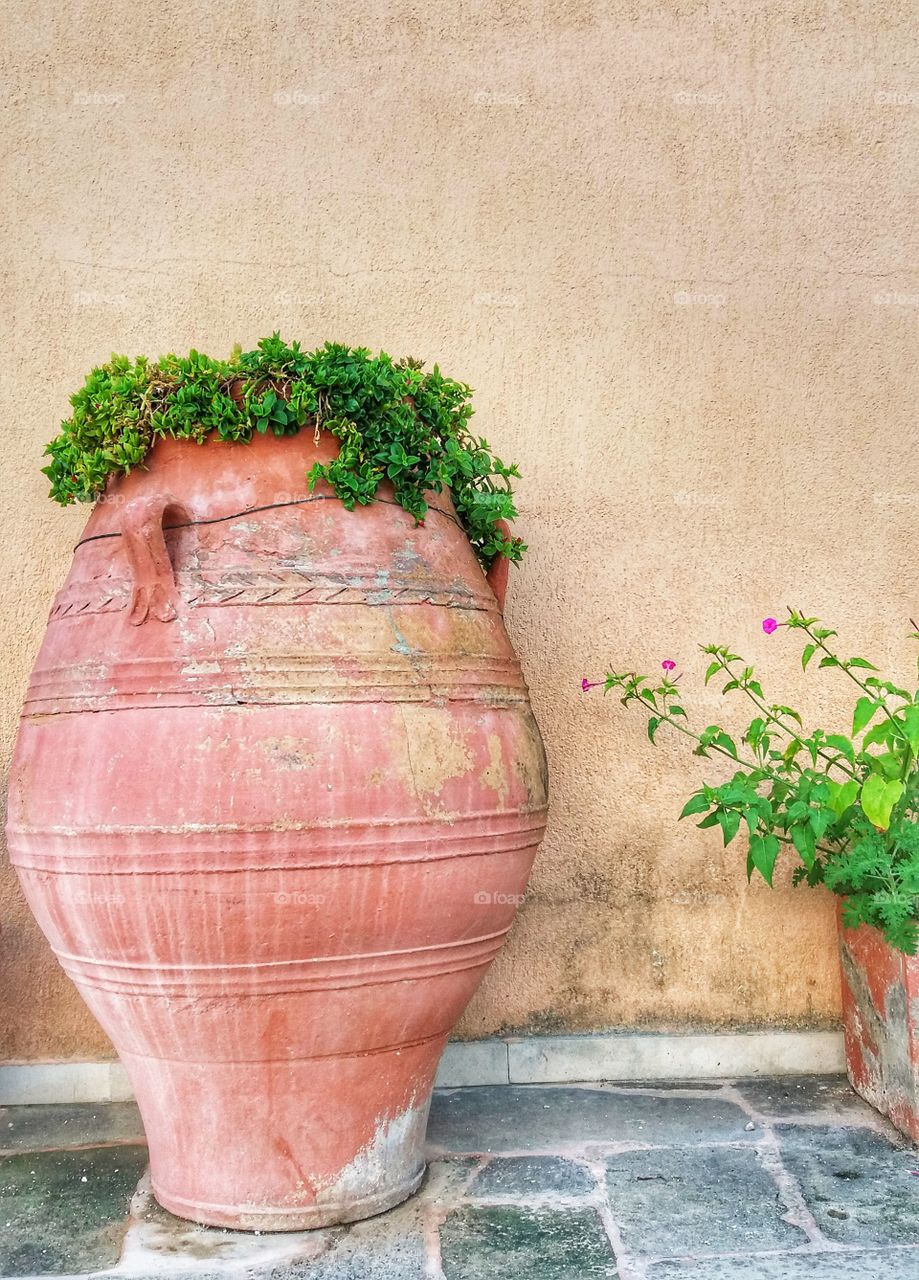 Memories of this beautiful summer.