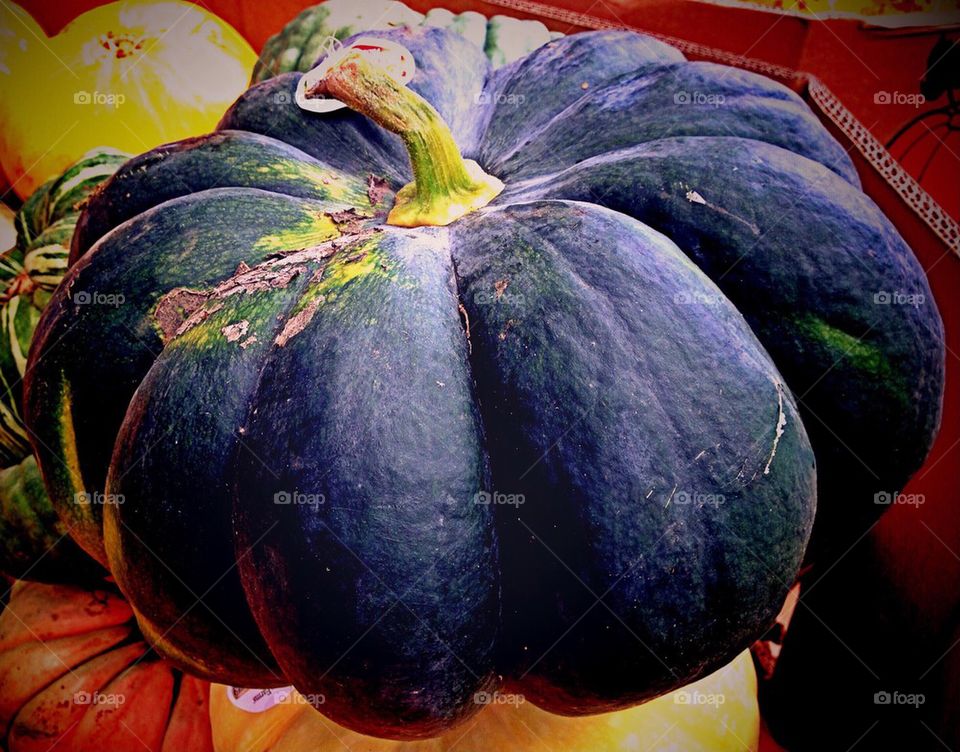 Black pumpkin