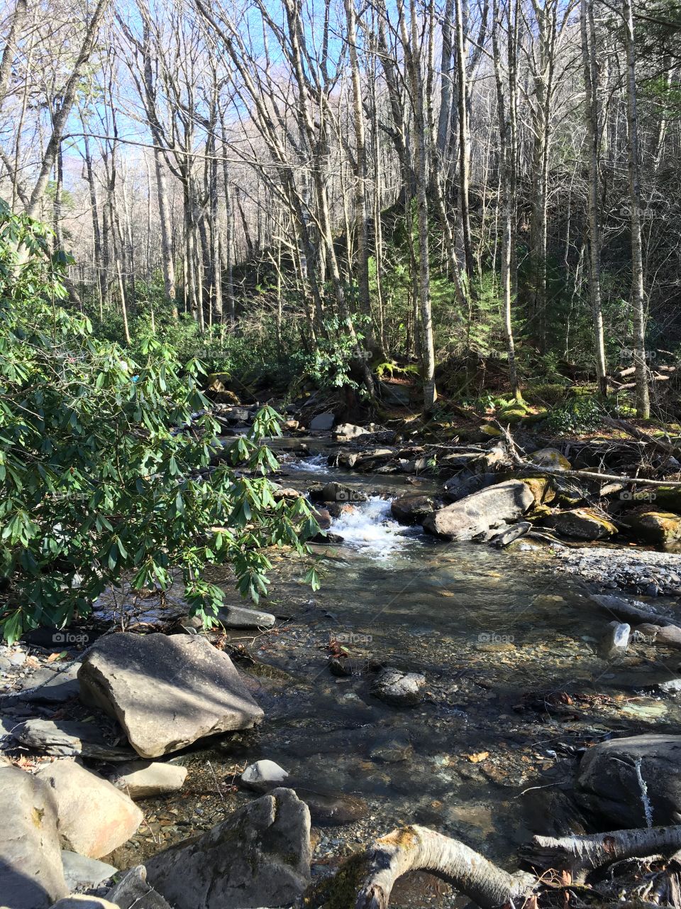Streams of Tennessee 
