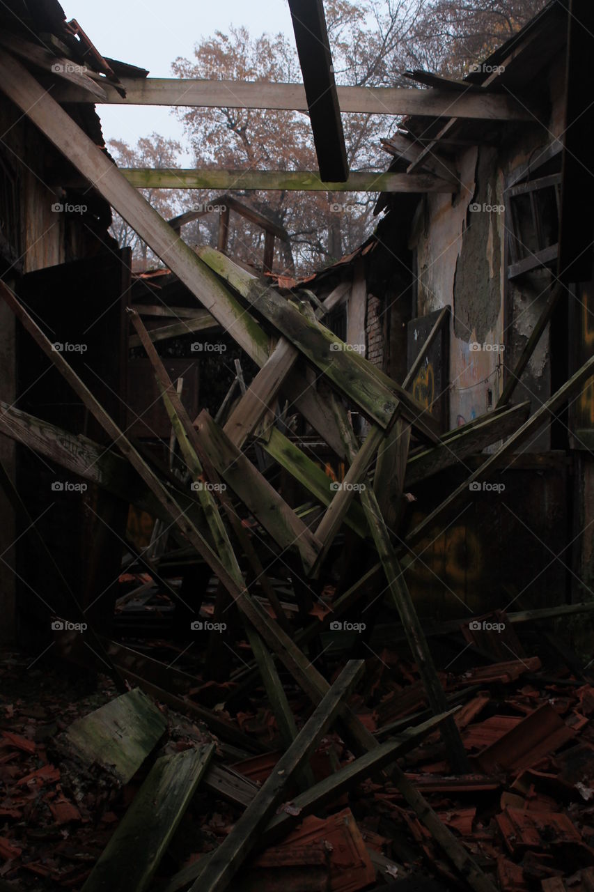 A room in an abandoned house in a park. The ceiling has collapsed and all the wooden beams are broken on the ground.