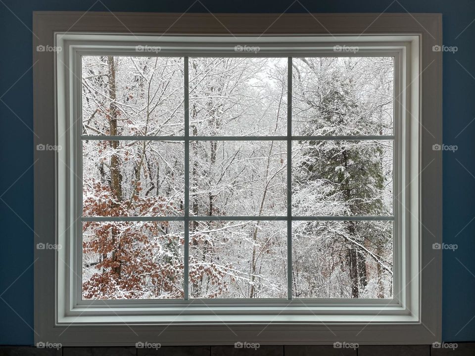 Window to the wintry world