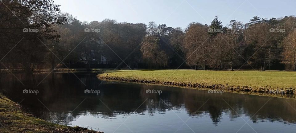 View of a lake with a meadow in a quiet place