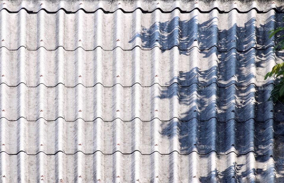 The shadow of the leaves on the dirty old tile roof.