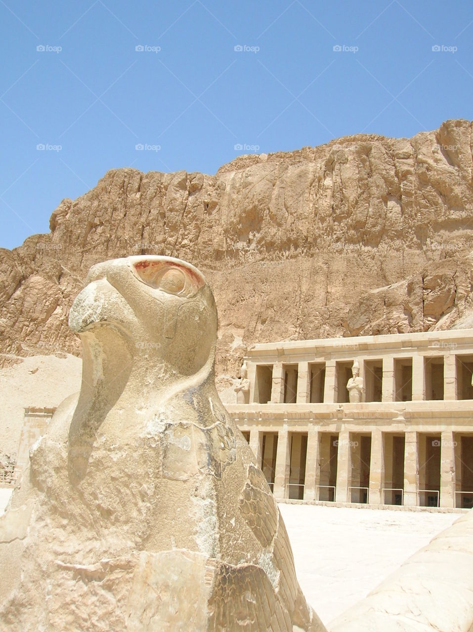 Guard of Queen Hatshepsut's Temple