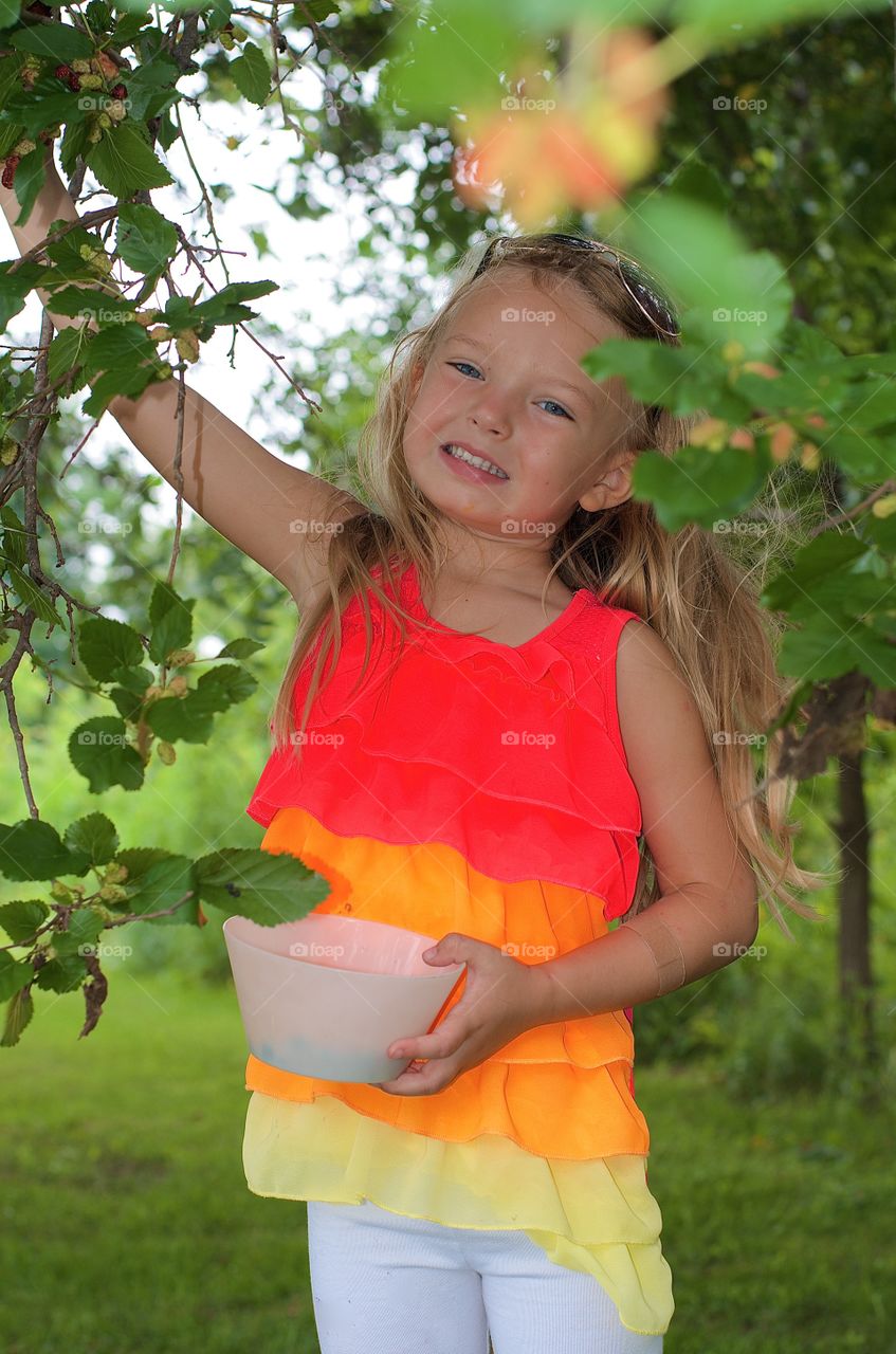 Small girl picking fresh fruit from tree