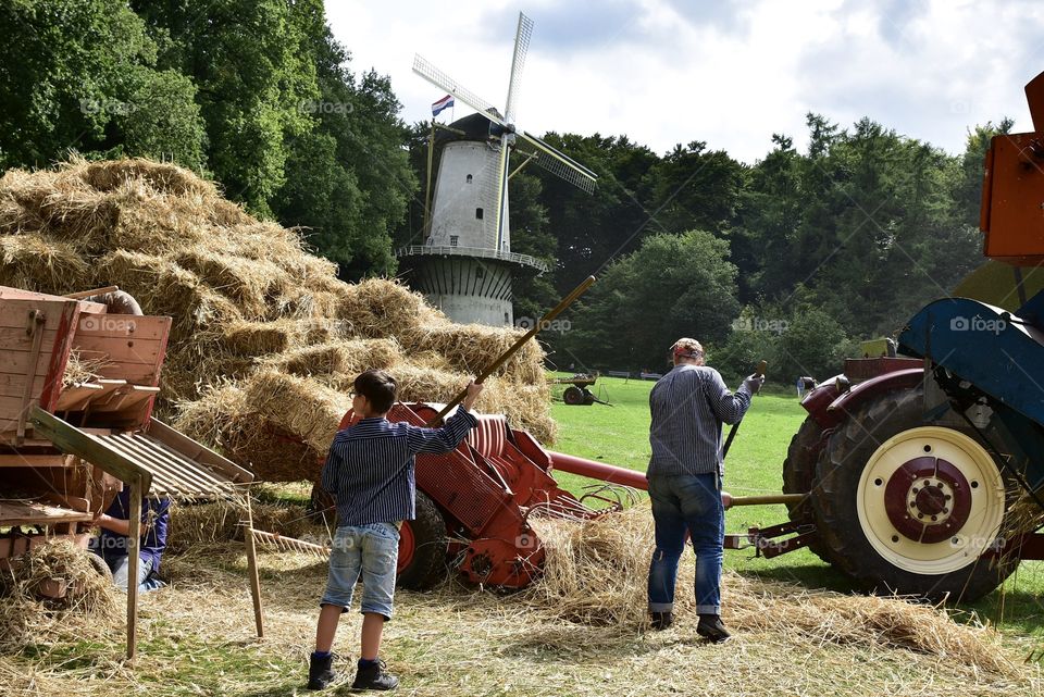 Farmers at work, Netherlands