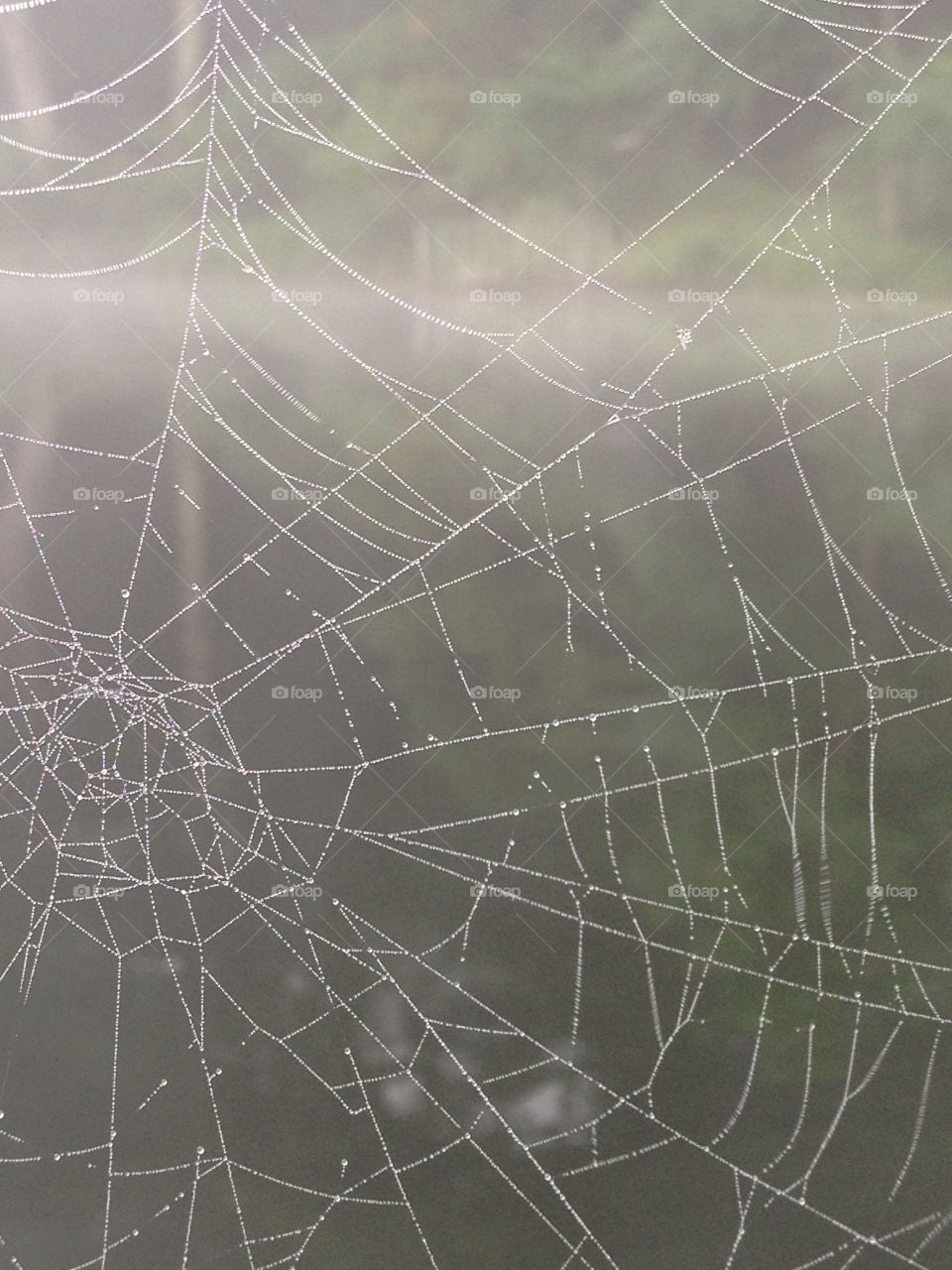 nature lake spiderweb by deemaabd