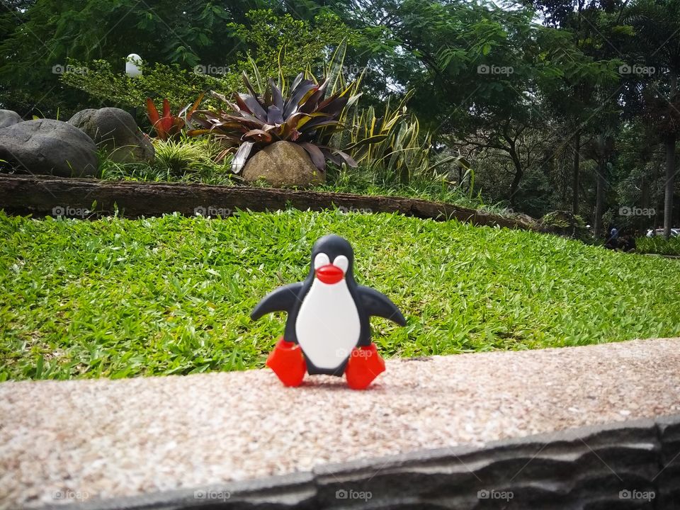 Linux on park, West Java