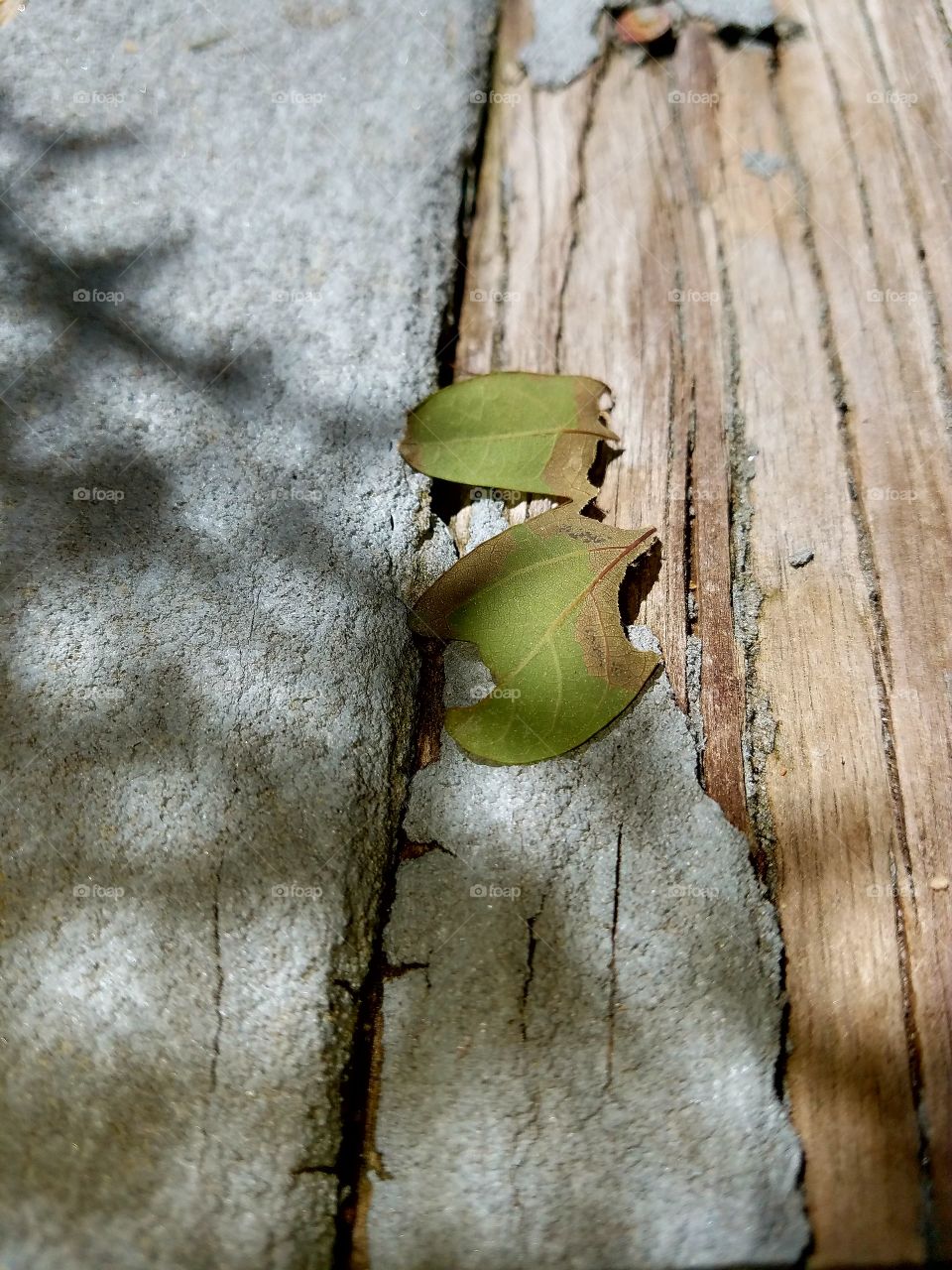 Multiple Textures & Colors