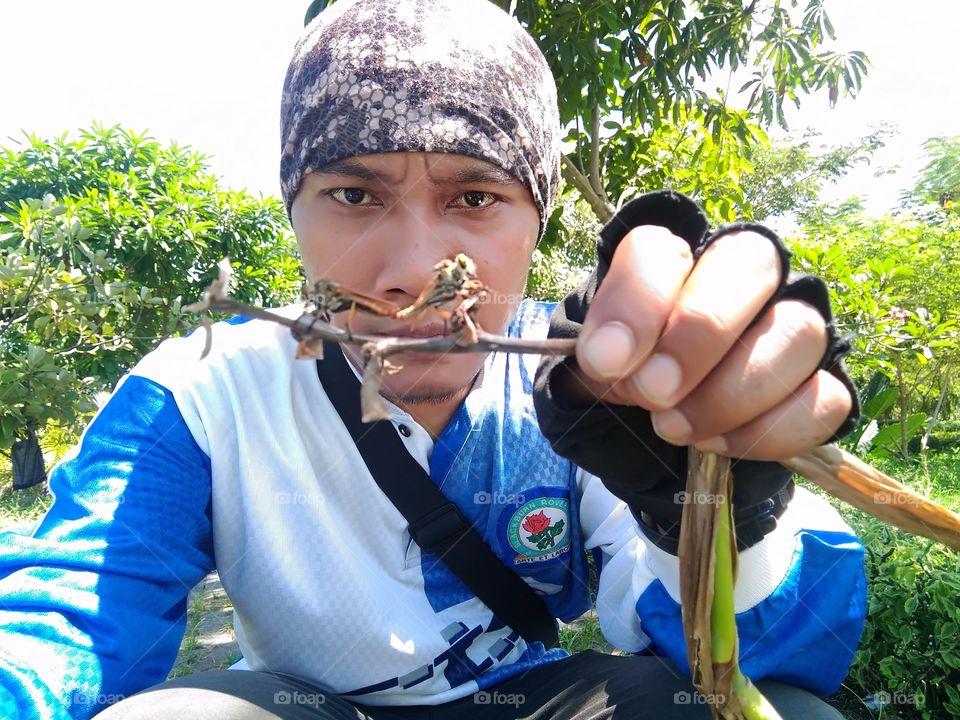 selfie with mating robberflies