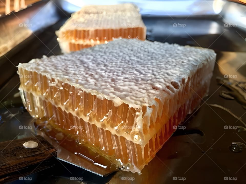 pure honey with nest from nature