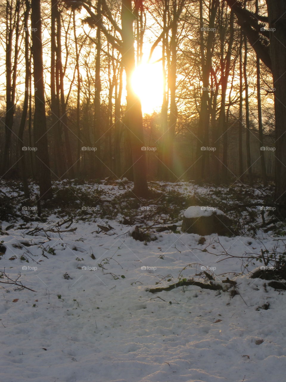 Winter, Snow, No Person, Nature, Cold