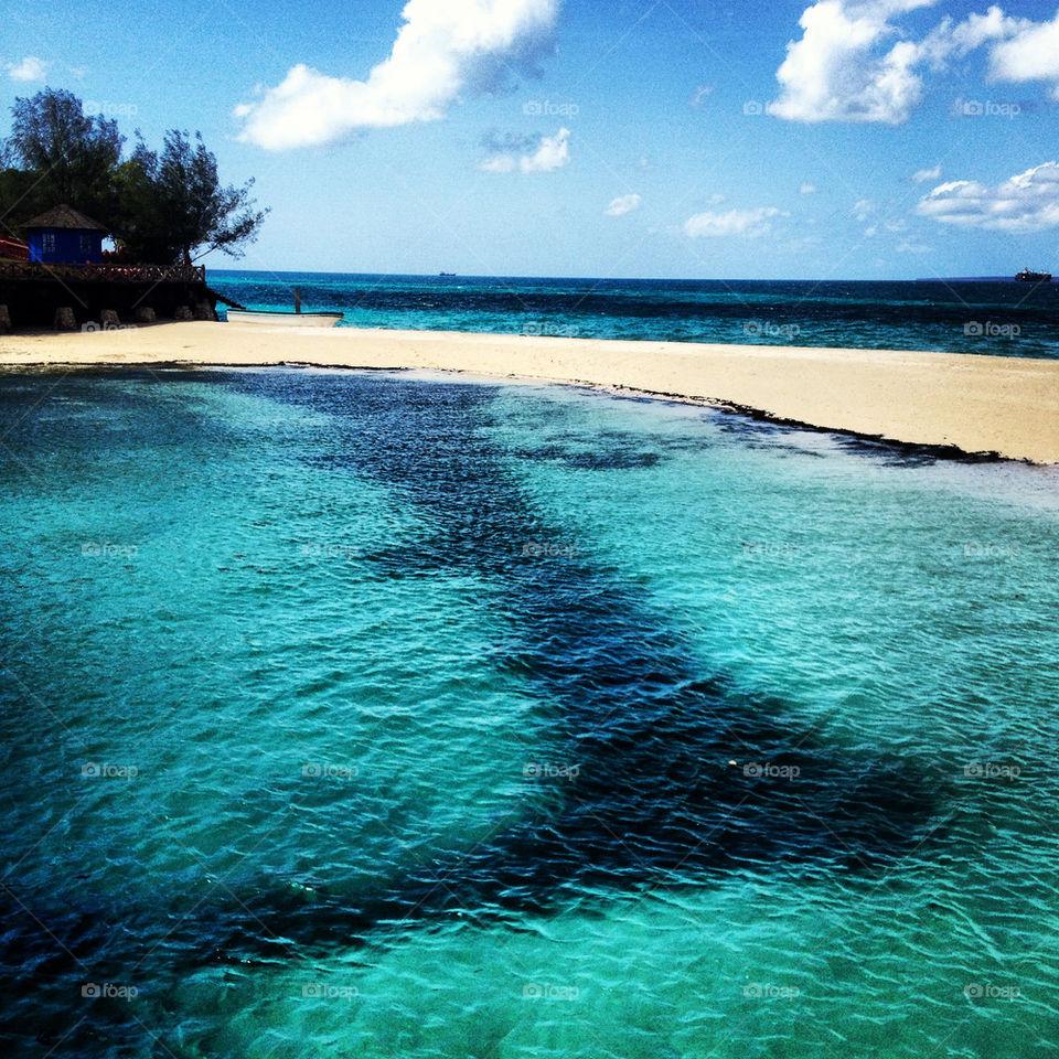 Prisoner island Zanzibar