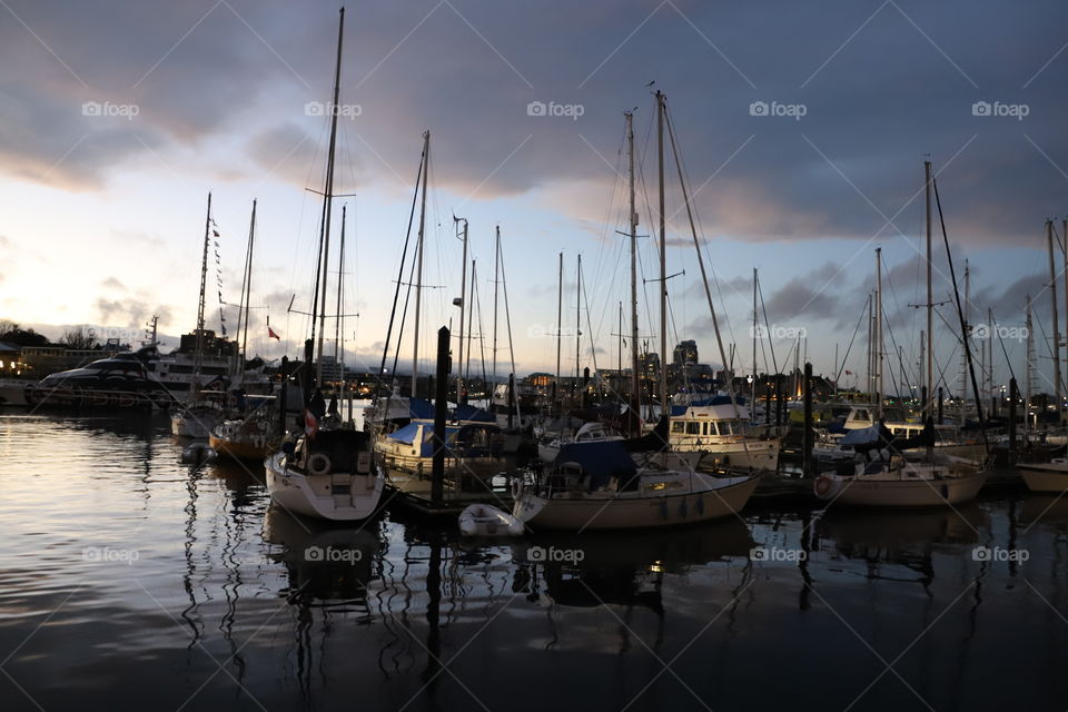 Night in the harbor 