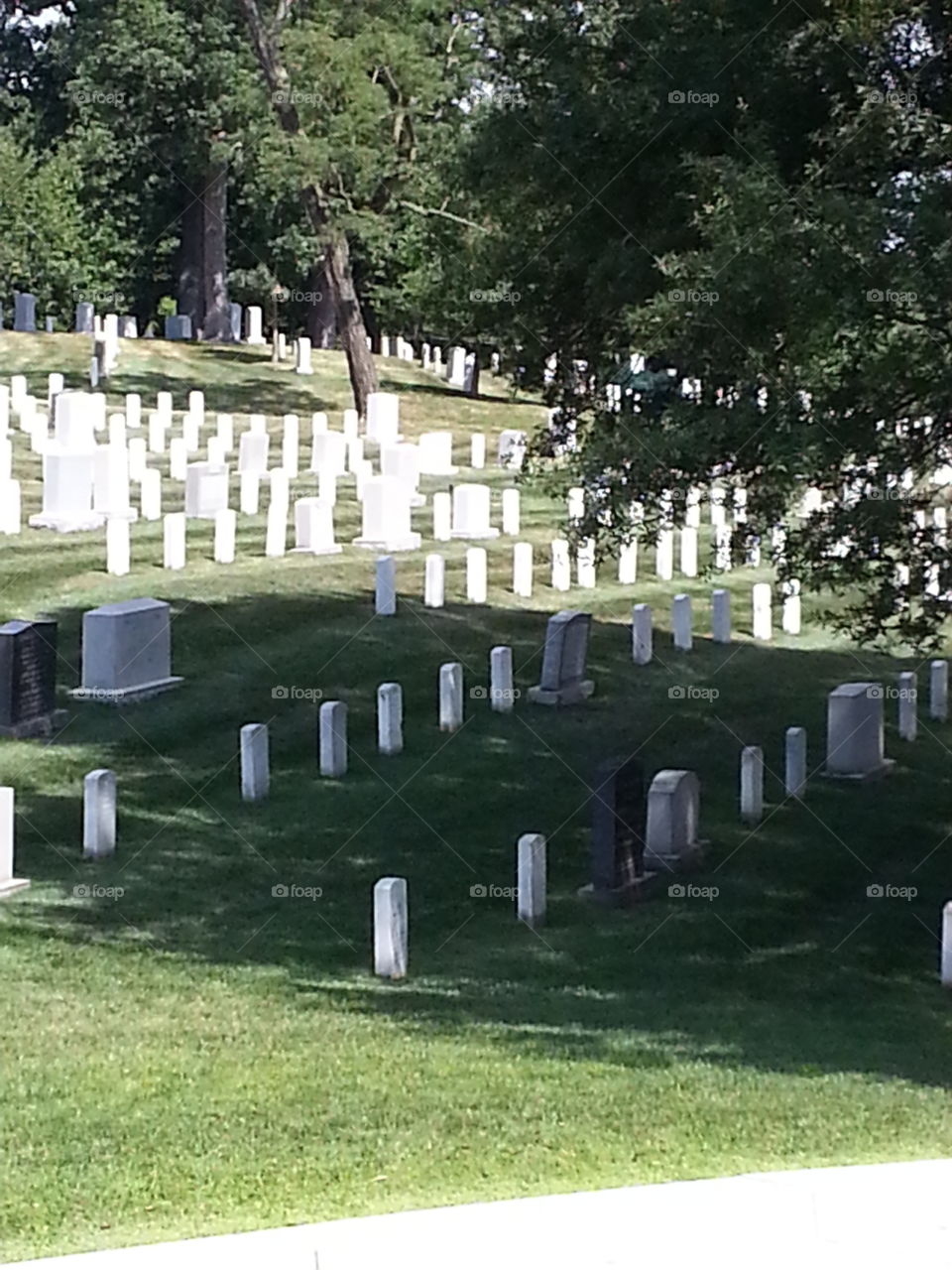 Arlington graves